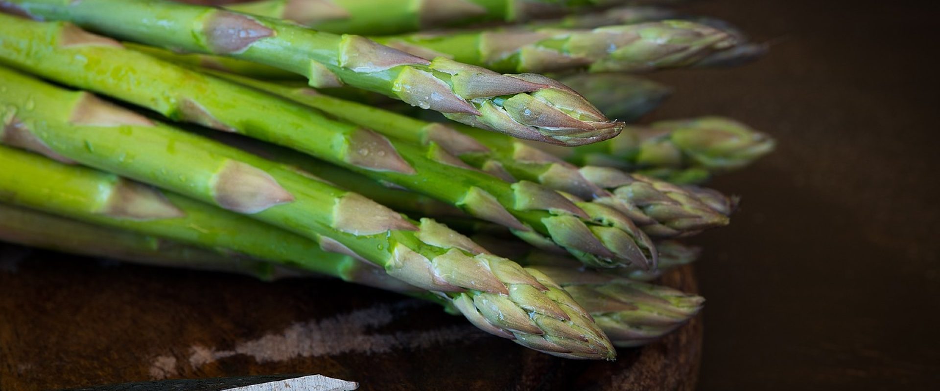 asparagus-g5ba336a52_1280